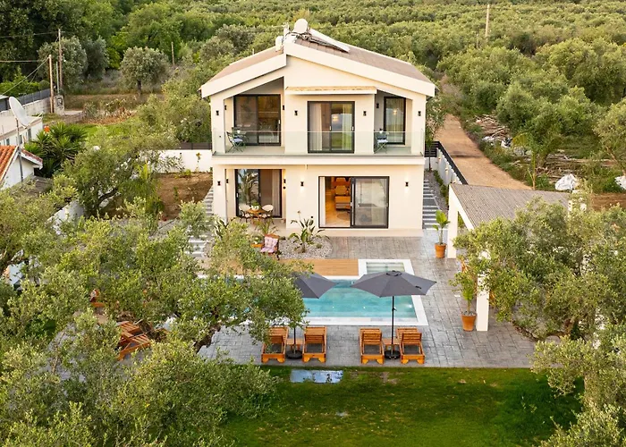 The Olive Nest By 