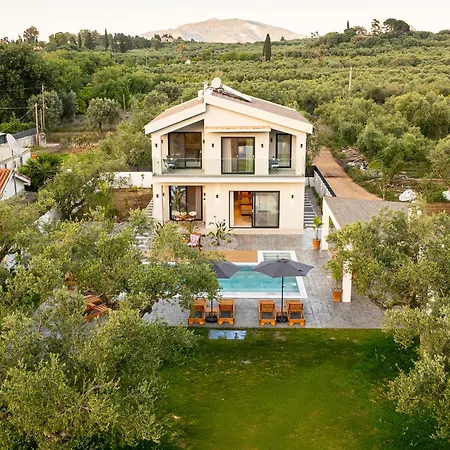 The Olive Nest By 