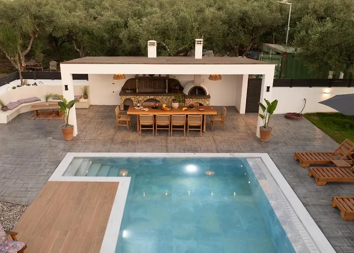 The Olive Nest By 